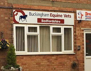 Buckingham Equine Vets Bedfordshire