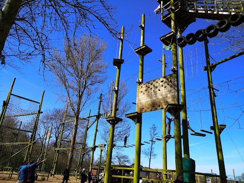 Treetop Extreme