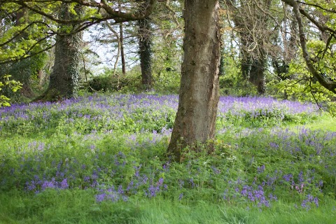 Ballymote House Country Accommodation