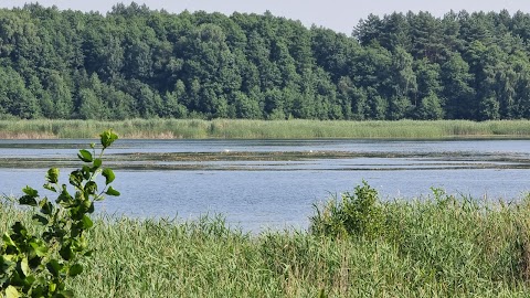 Оглядовий майданчик затоки Бужня