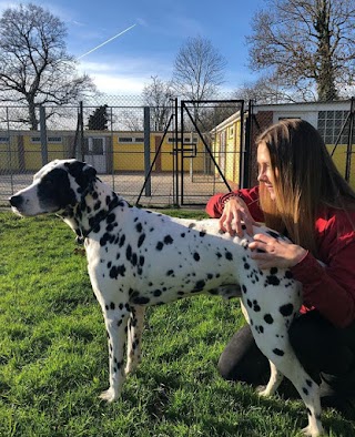 Ladybird Kennels and Cattery