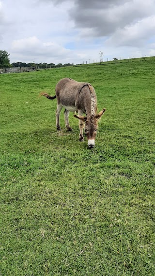 Rookery Open Farm