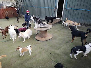 Fun Fur Dogs Doggy Daycare (Scammonden)