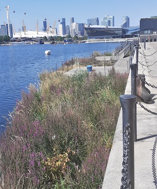 Royal Docks Floating Gardens