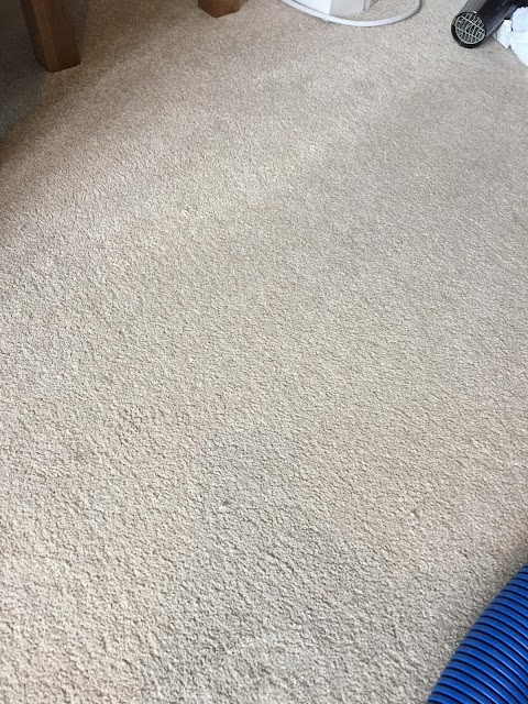 Carpet Genie