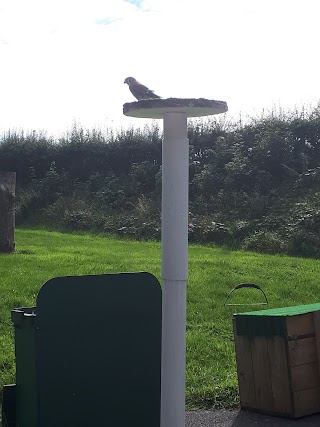 Woodlands Falconry