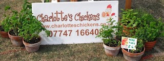 Charlotte's Chickens