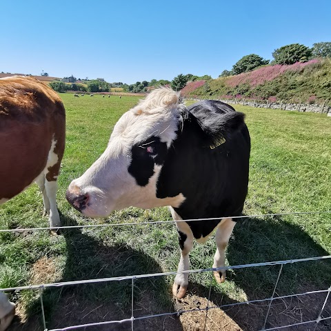 Farm Stop