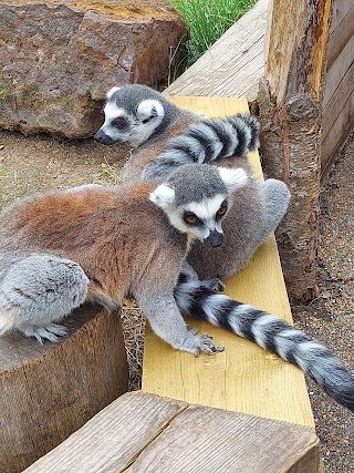 London Zoo Park