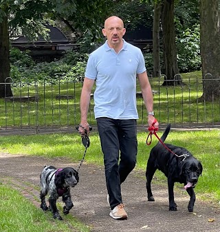 Sean Takes The Dogs Out