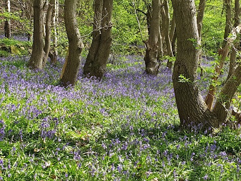 Dearne Valley Park