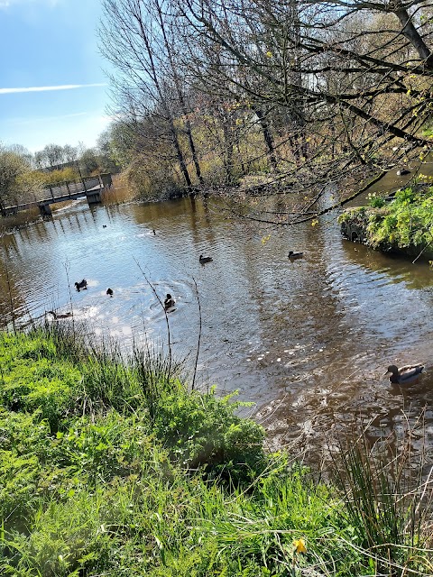 Six Mile Water Park Duck Pond Observation Deck