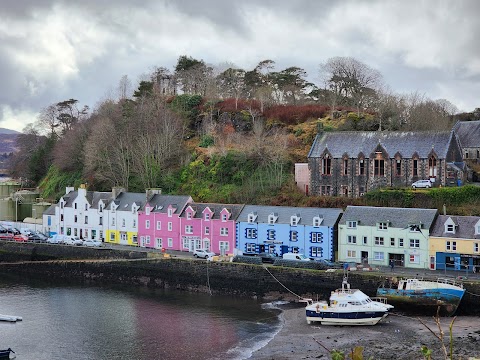 The Hairy Coo - Scotland Tours