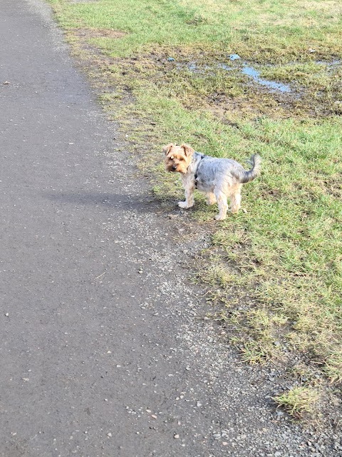 Hailes Quarry Park