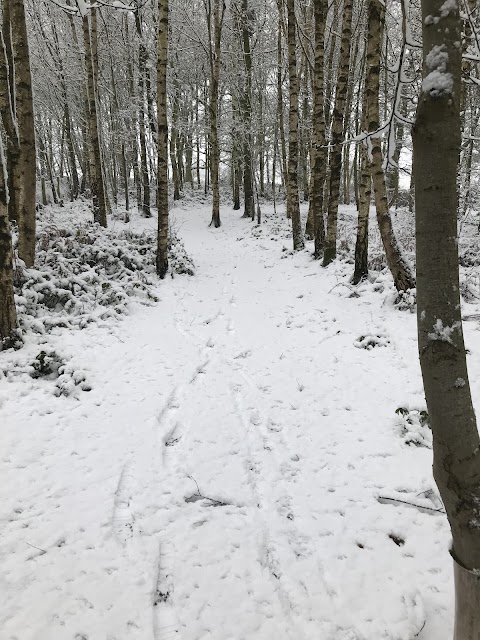 Chetwynd Firs Boarding Kennels & Cattery