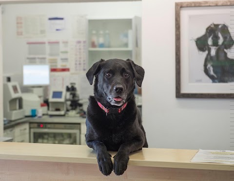 The Veterinary Centre