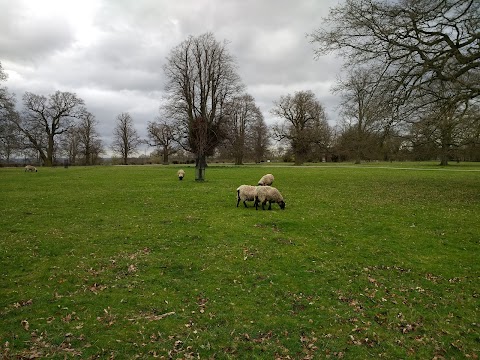 Moggerhanger Park