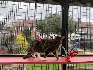 Apple Tree Cattery Trowell