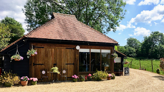 VaVa Groom U.K. Dog Grooming Salon & Day Care