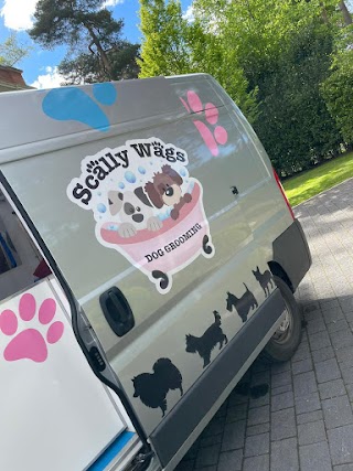 scally wags mobile dog grooming