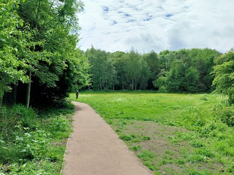 Moseley Bog