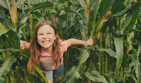 Play @ Lower Drayton Farm