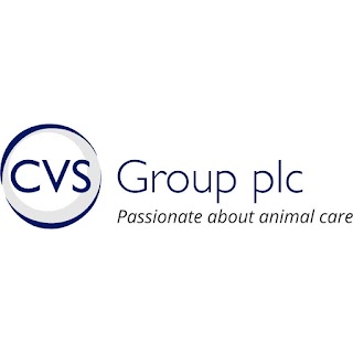 CVS Group plc