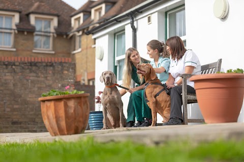 Holders Hill Veterinary Surgery