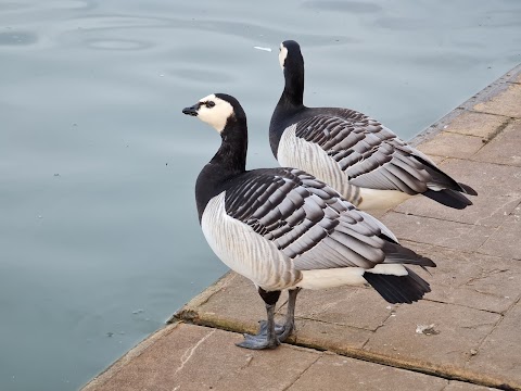 Cleethorpes Boating Lake