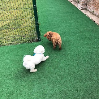 Hound Around Day Care