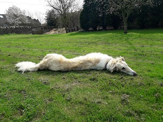 Tickenham Rabbit Centre