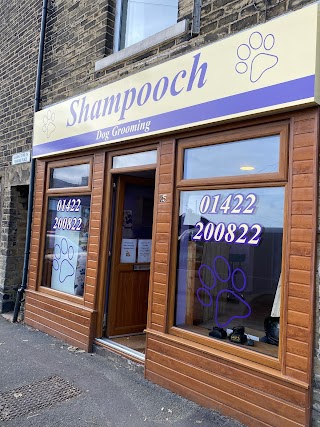 Shampooch Dog Grooming Northowram