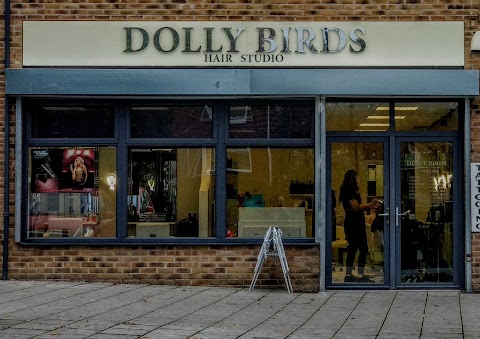 Dolly Birds Hair Studio