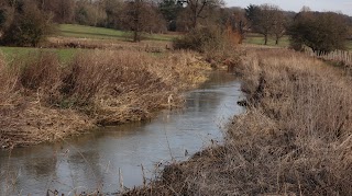 Wicksteed Water Meadows Nature Reserve