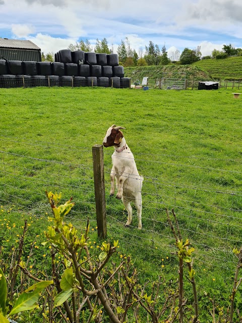 Greenhall Country Cafe & Farm Shop