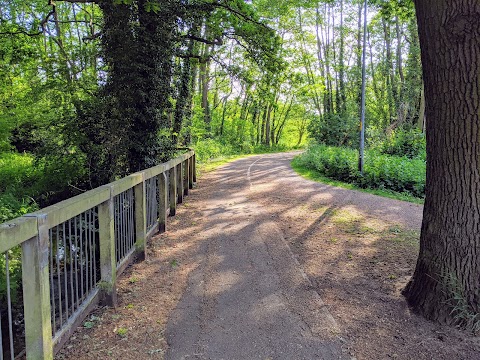 Lucy's Meadow