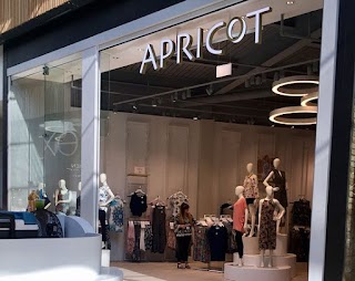 Apricot Clothing - Bradford