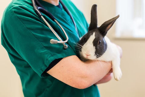 Beaufield Veterinary Centre