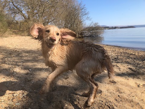 Paws Inn Loch Lomond