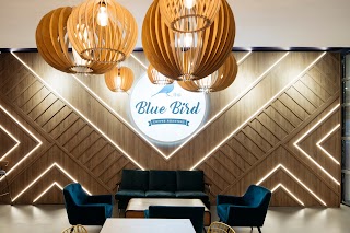 Blue Bird Coffee Roasters