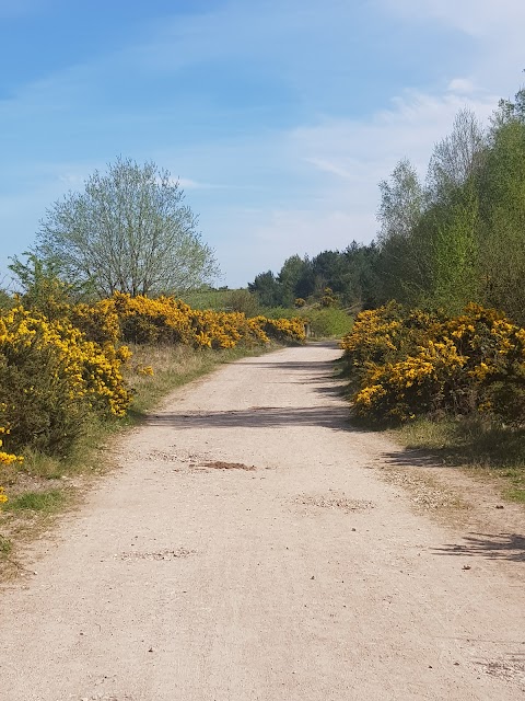 Newstead and Annesley Country Park