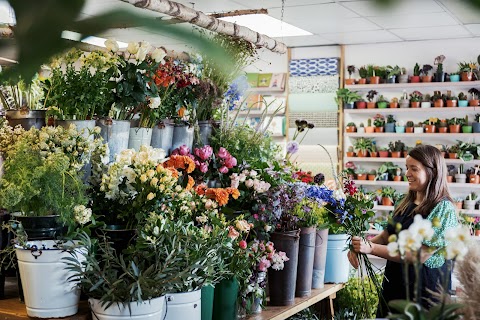 Catkin & Pussywillow Artisan Florist, Winchester