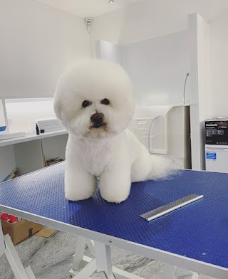 Pet Spa Essex - Dog Grooming & Pet Boutique in Brentwood, Essex