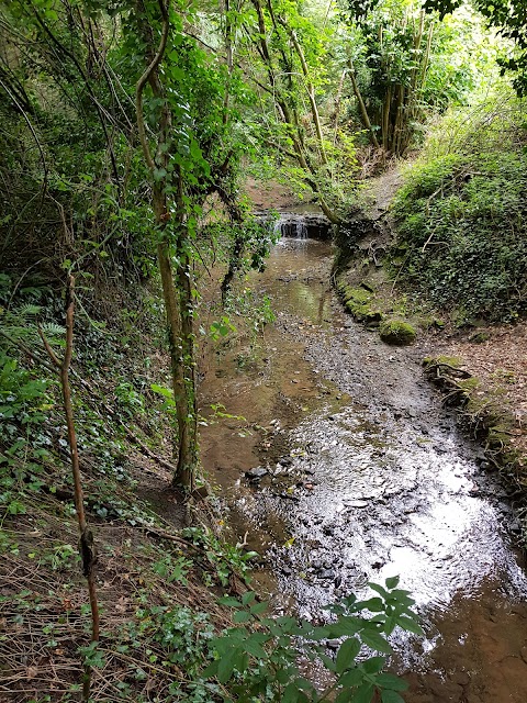 Three Brooks Local Nature Reserve