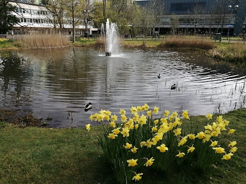 Heath Hospital Garden