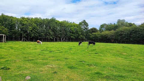 Tannaghmore Gardens & Animal Farm