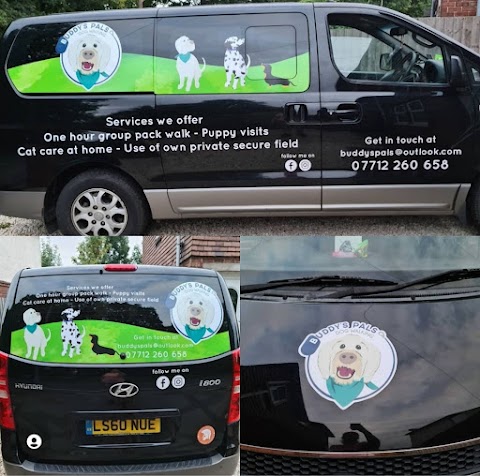 Buddy's Pals Dog Walking Services