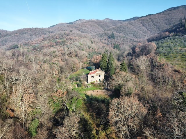 Casa e Ciliegie