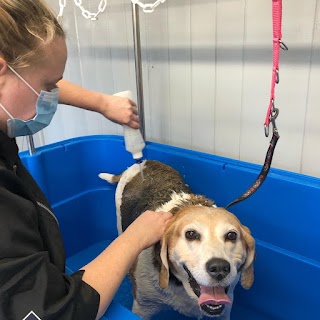 Mel's Dog Wash