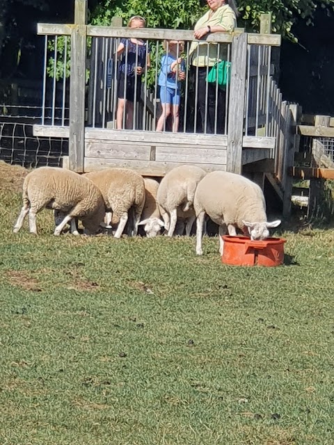 Honeysuckle Farm